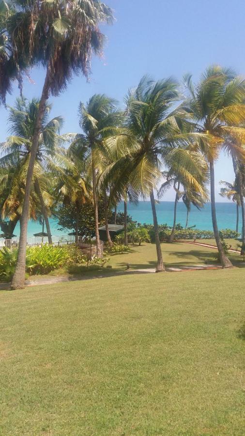 Studio En Bord De Mer - Residence La Vieille Tour Le Gosier  Ngoại thất bức ảnh